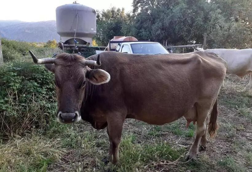 هتل Agriturismo Codula Fuili