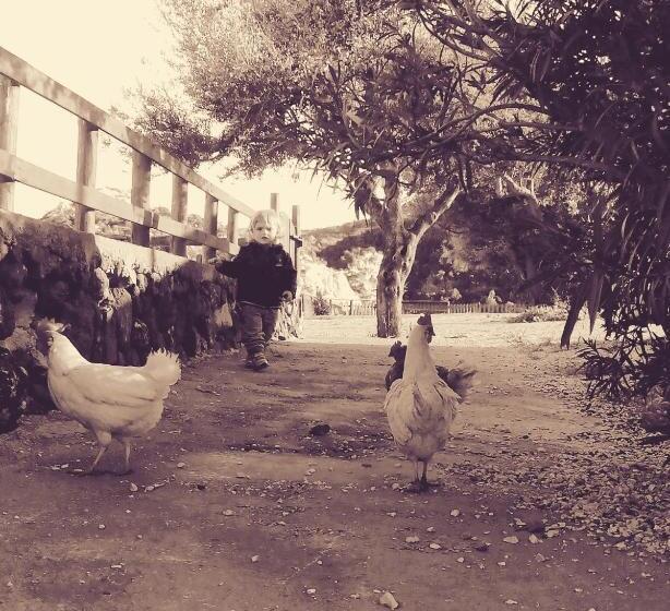 בית מלון כפרי Agriturismo Codula Fuili