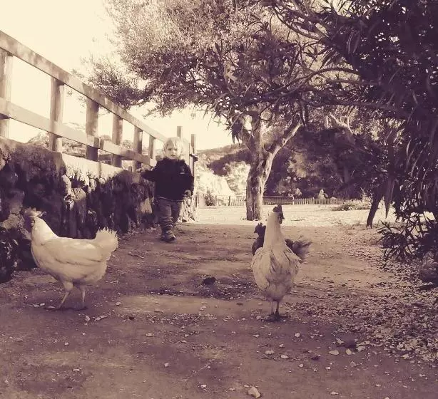 هتل Agriturismo Codula Fuili