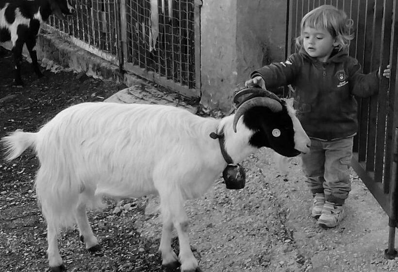 בית מלון כפרי Agriturismo Codula Fuili