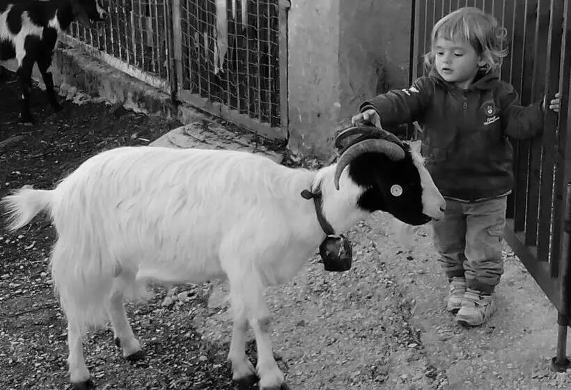 هتل Agriturismo Codula Fuili