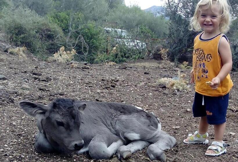 בית מלון כפרי Agriturismo Codula Fuili