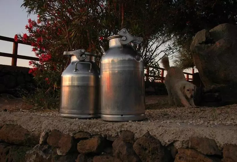 هتل Agriturismo Codula Fuili