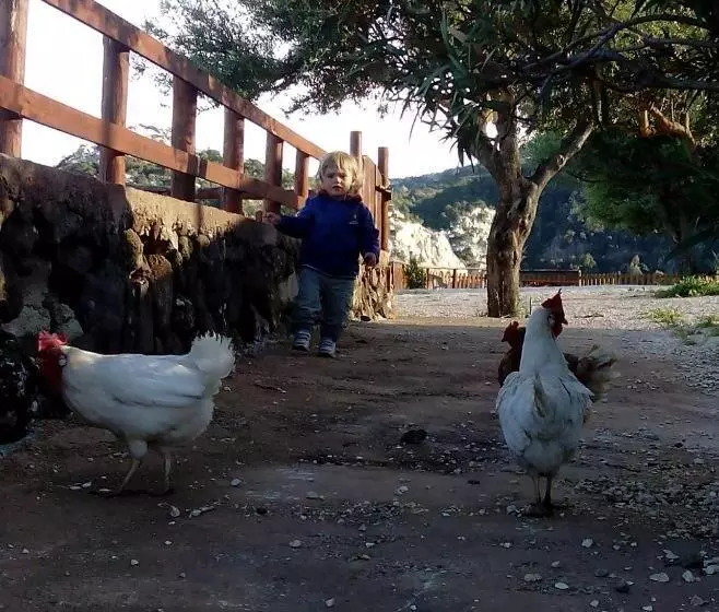 هتل Agriturismo Codula Fuili