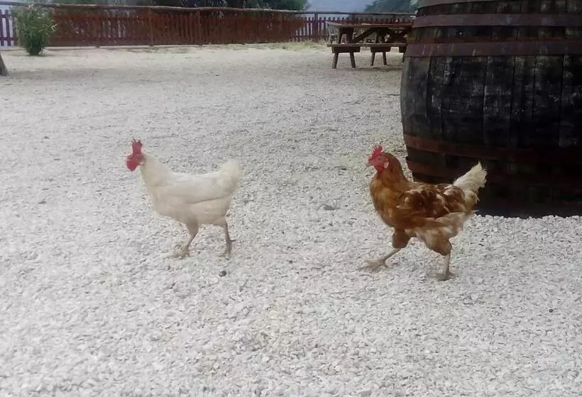هتل Agriturismo Codula Fuili