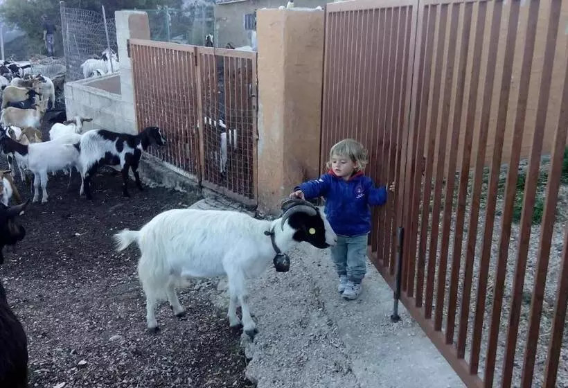 هتل Agriturismo Codula Fuili