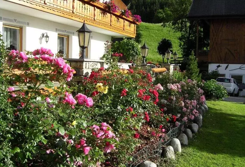 هتل Mair Am Hof