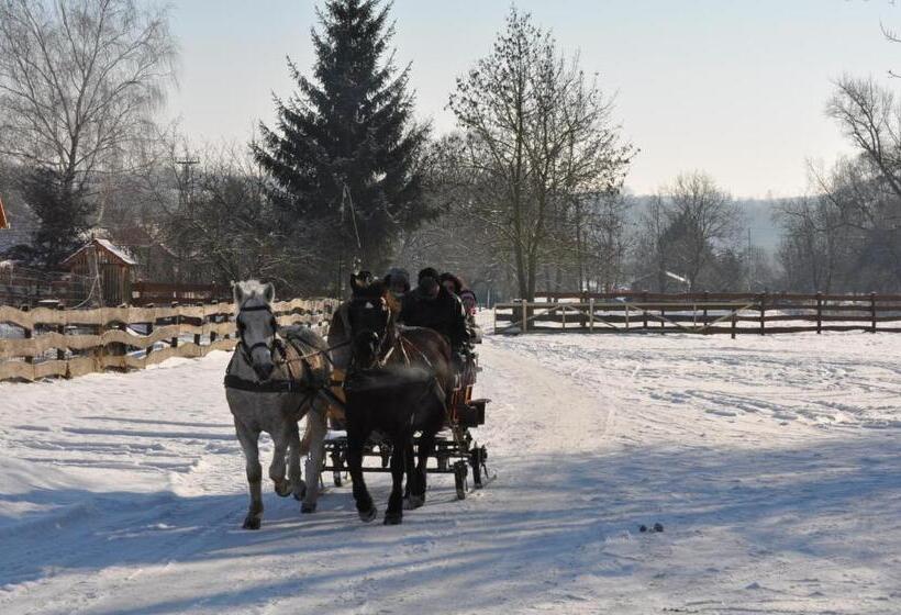 膳宿费 Helesfa Vendégház