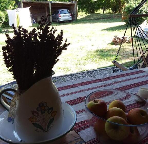 膳宿费 Helesfa Vendégház