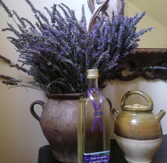 بنسيون Le Clos De La Chardonnière