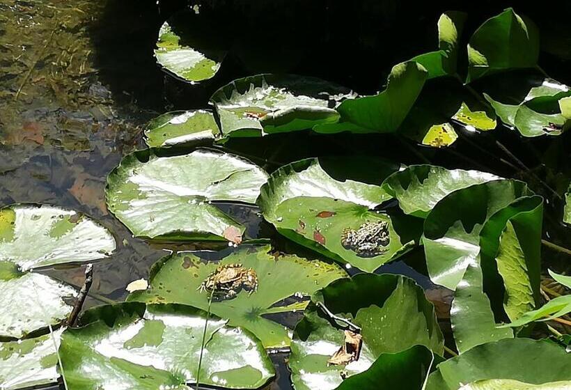 بنسيون Le Clos De La Chardonnière