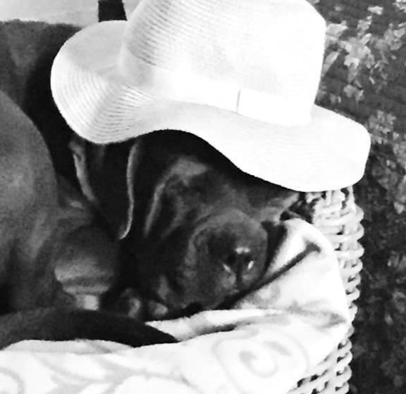 بنسيون Le Clos De La Chardonnière