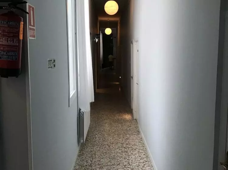 Hôtel (catégorie 1/2 *) Pensión Apolo Xi