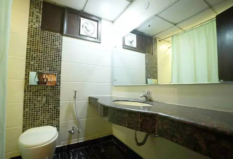 ホテル Silver Stone Karol Bagh New Delhi