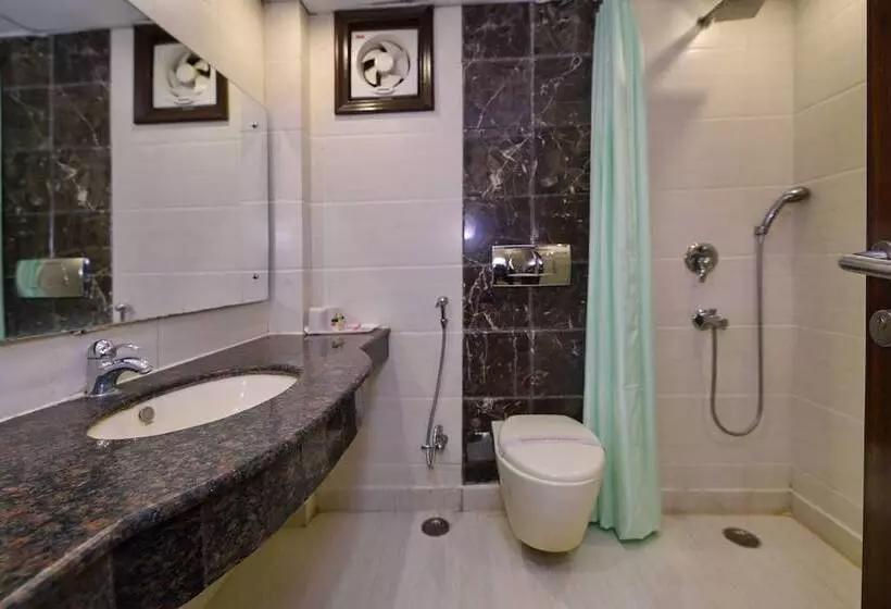 ホテル Silver Stone Karol Bagh New Delhi