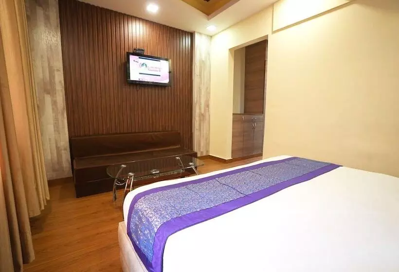 ホテル Silver Stone Karol Bagh New Delhi