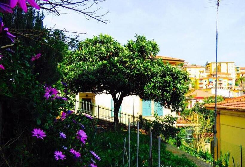 پانسیون Levante Blu