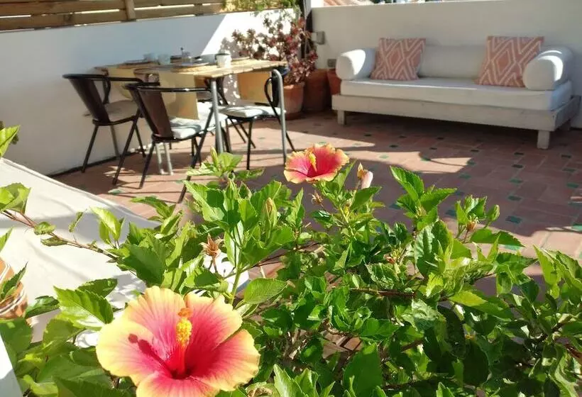 Bed and Breakfast Calcada Guesthouse