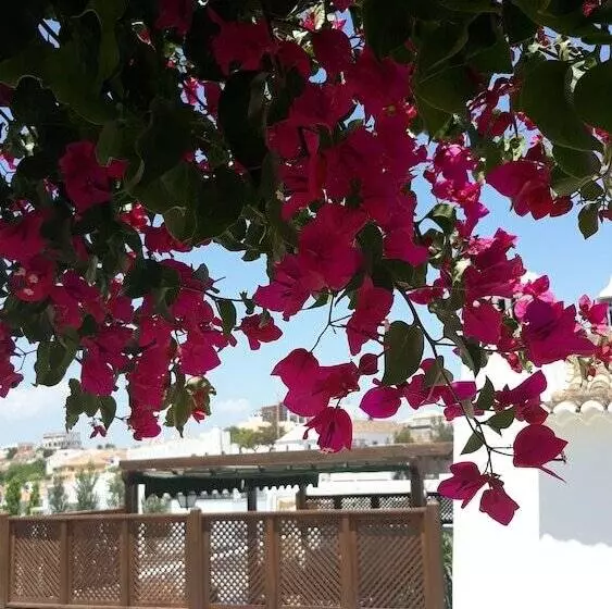 Bed and Breakfast Calcada Guesthouse