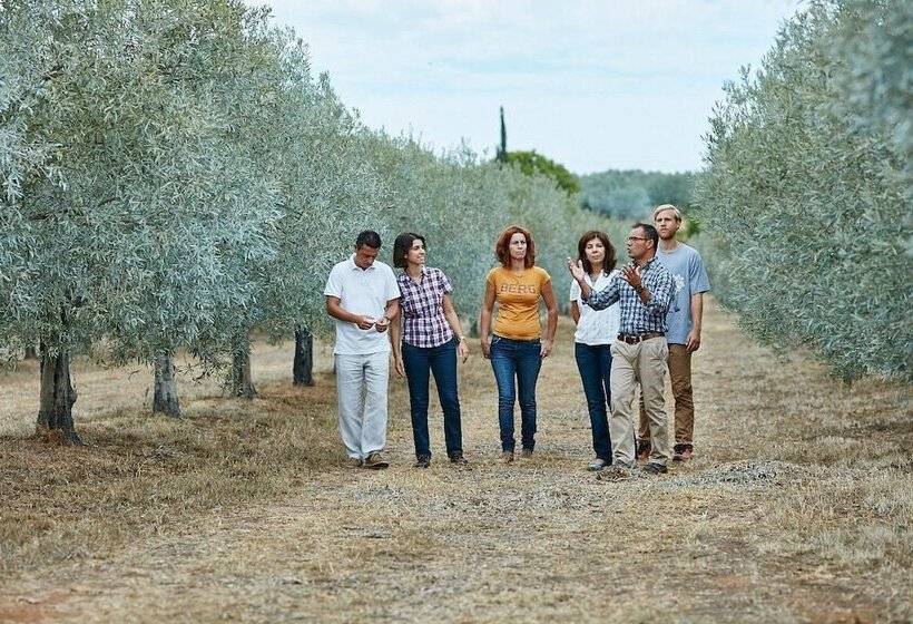 تختخواب و صبحانه Calcada Guesthouse