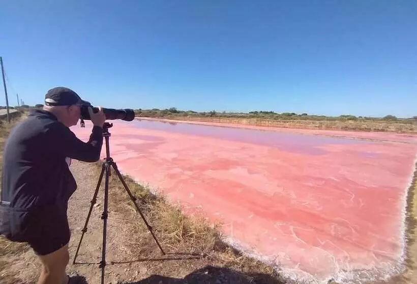 Bed and Breakfast Calcada Guesthouse