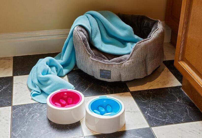 Cheval Thorney Court At Hyde Park