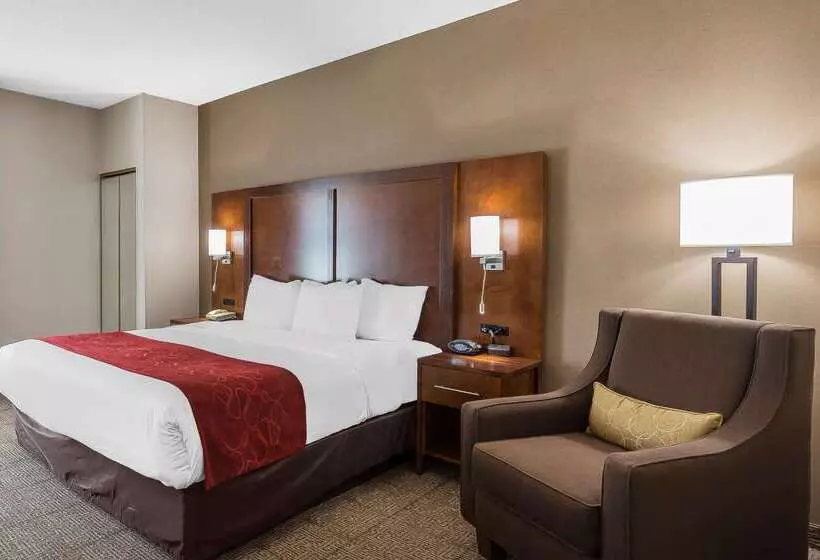 ホテル Comfort Suites Salisbury I85