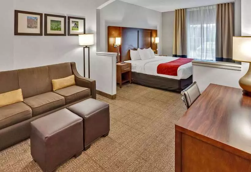 ホテル Comfort Suites Salisbury I85