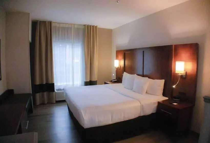 ホテル Comfort Suites Salisbury I85