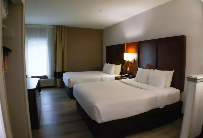 ホテル Comfort Suites Salisbury I85