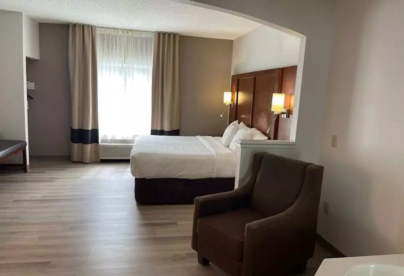 ホテル Comfort Suites Salisbury I85