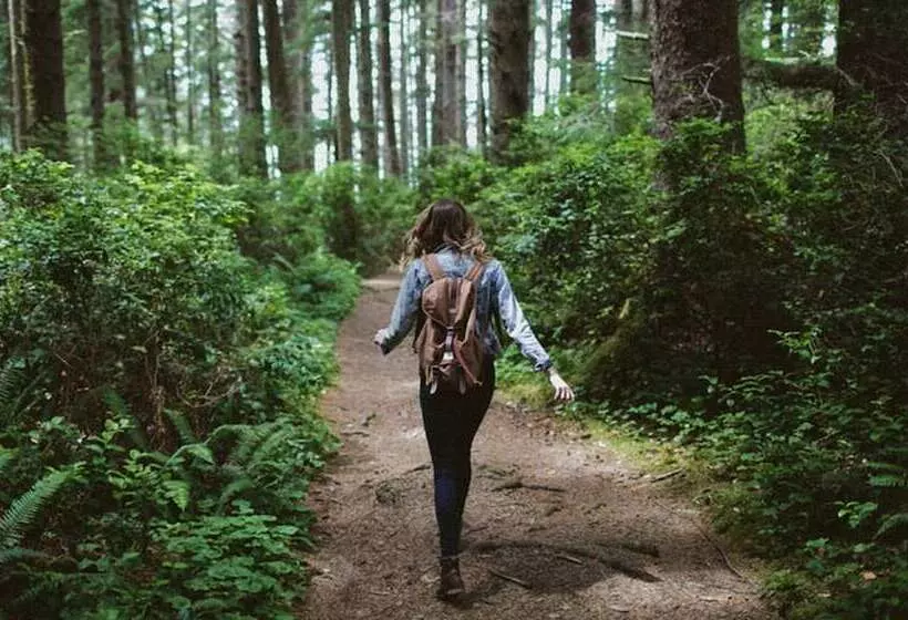 Hotel Holiday Inn Express And Suites Montgomery, An Ihg