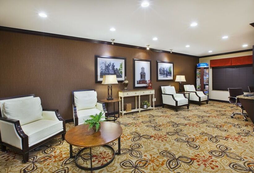 ホテル Holiday Inn Express & Suites Washington Meadow Lands, An Ihg