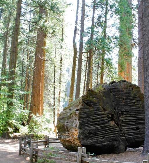 Mountain Retreat Resort, A Vri Resort