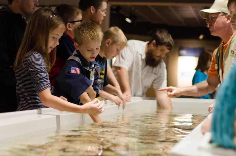 فندق Candlewood Suites Lake Jackson, An Ihg