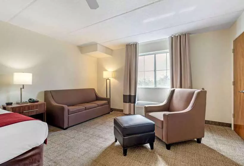 هتل Comfort Inn Kissimmee-Lake Buena Vista South