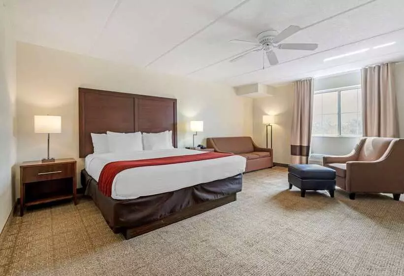 هتل Comfort Inn Kissimmee-Lake Buena Vista South