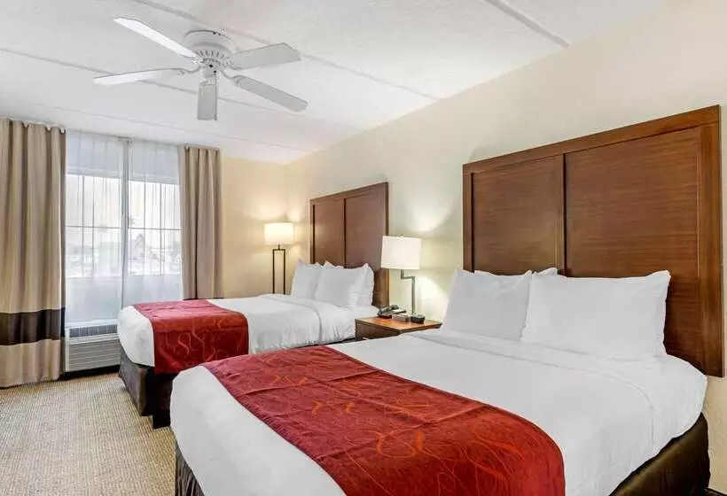 هتل Comfort Inn Kissimmee-Lake Buena Vista South