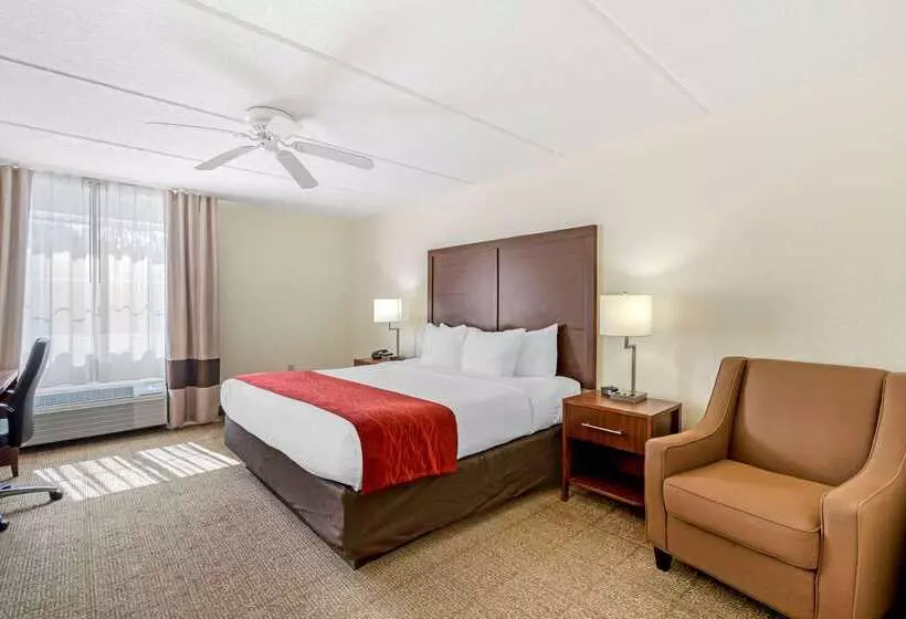 هتل Comfort Inn Kissimmee-Lake Buena Vista South