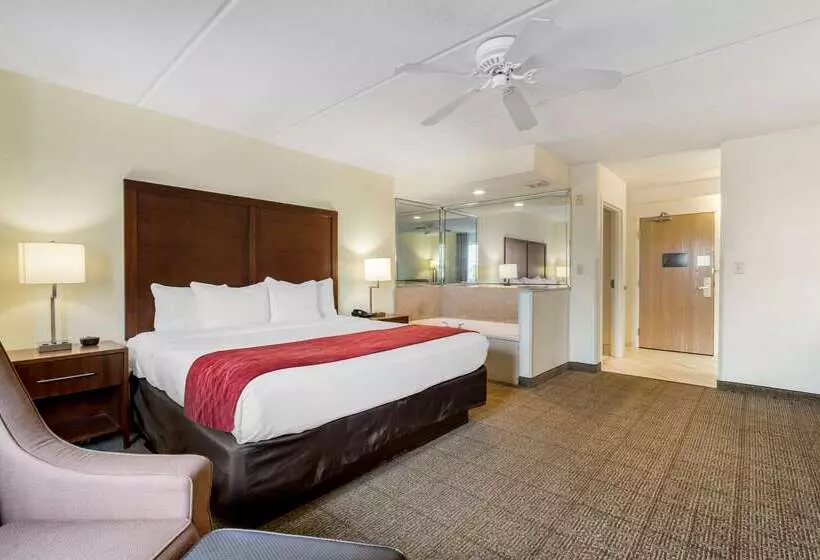 هتل Comfort Inn Kissimmee-Lake Buena Vista South