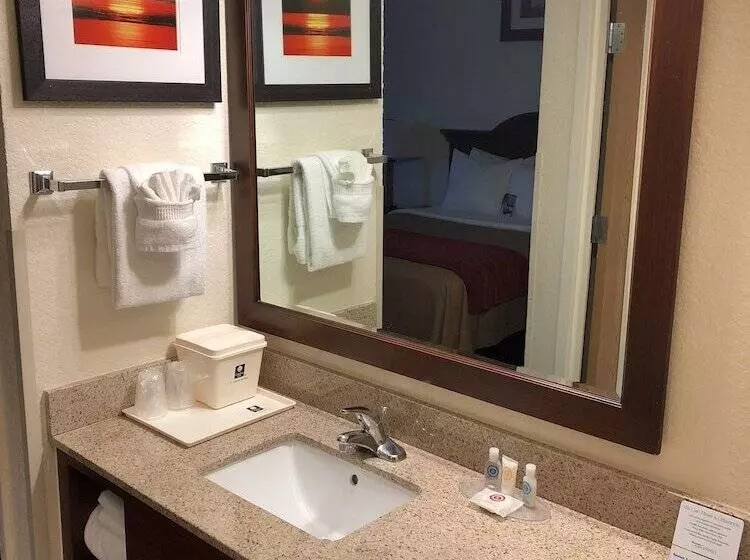 هتل Comfort Inn Kissimmee-Lake Buena Vista South