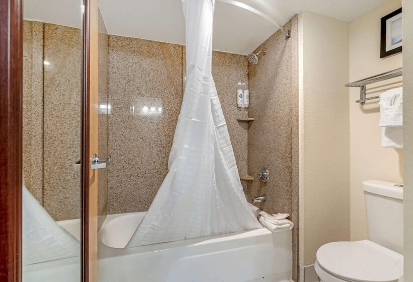 בית מלון כפרי Comfort Inn Kissimmee-Lake Buena Vista South