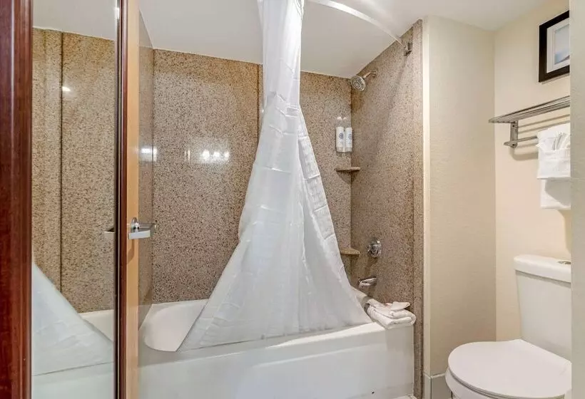 هتل Comfort Inn Kissimmee-Lake Buena Vista South