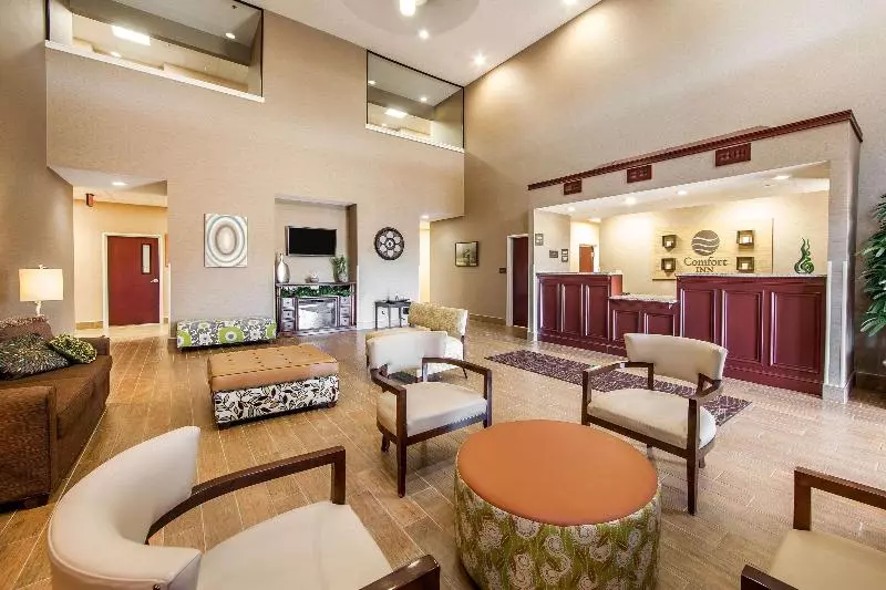 Отель Comfort Inn Lexington South