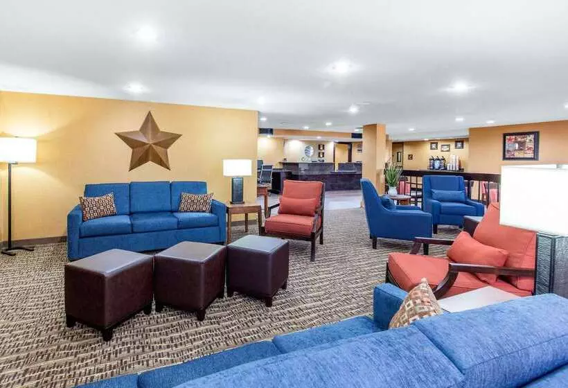 酒店 Comfort Inn Wichita Falls North