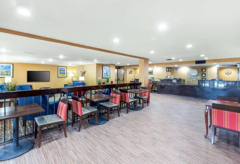 酒店 Comfort Inn Wichita Falls North