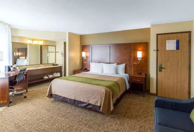 酒店 Comfort Inn Wichita Falls North