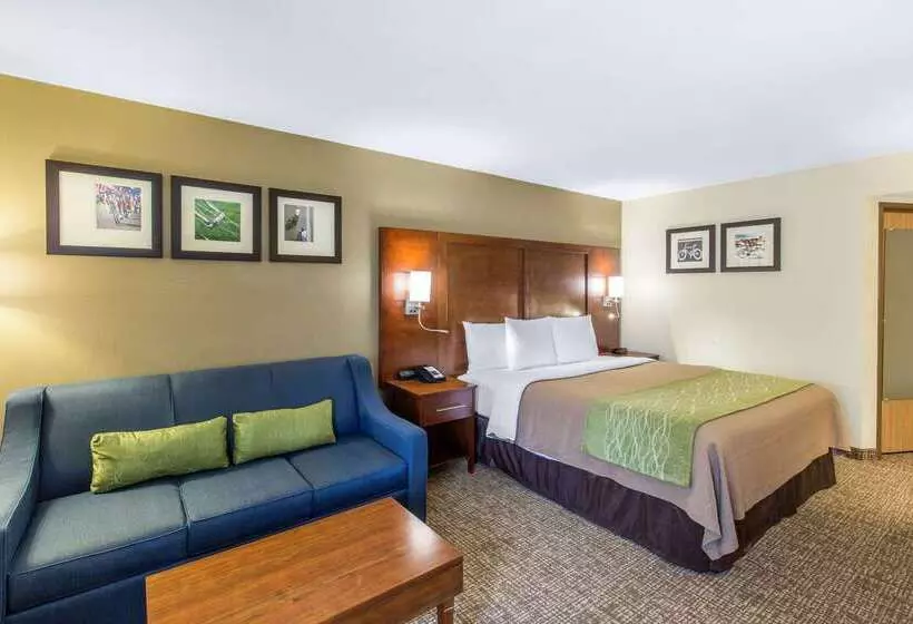酒店 Comfort Inn Wichita Falls North