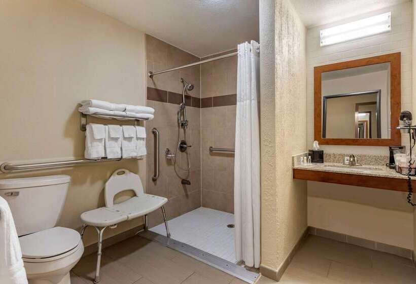 בית מלון כפרי Comfort Suites Batesville