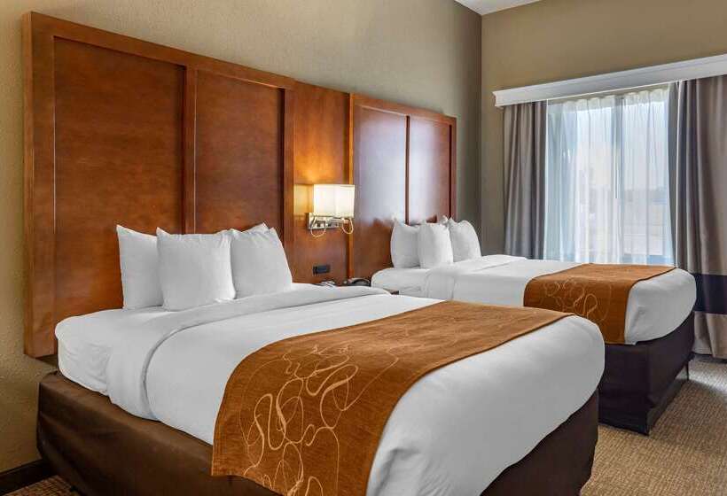 בית מלון כפרי Comfort Suites Batesville
